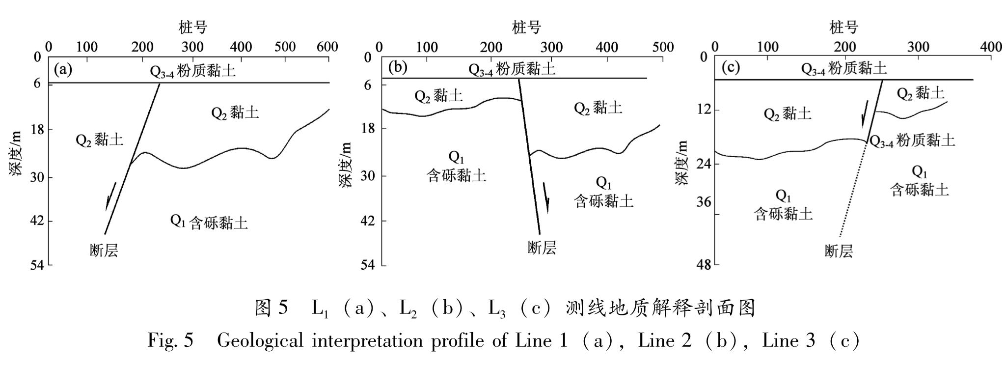 图5 L1(a)、L2(b)、L3(c)测线地质解释剖面图<br/>Fig.5 Geological interpretation profile of Line 1(a),Line 2(b),Line 3(c)