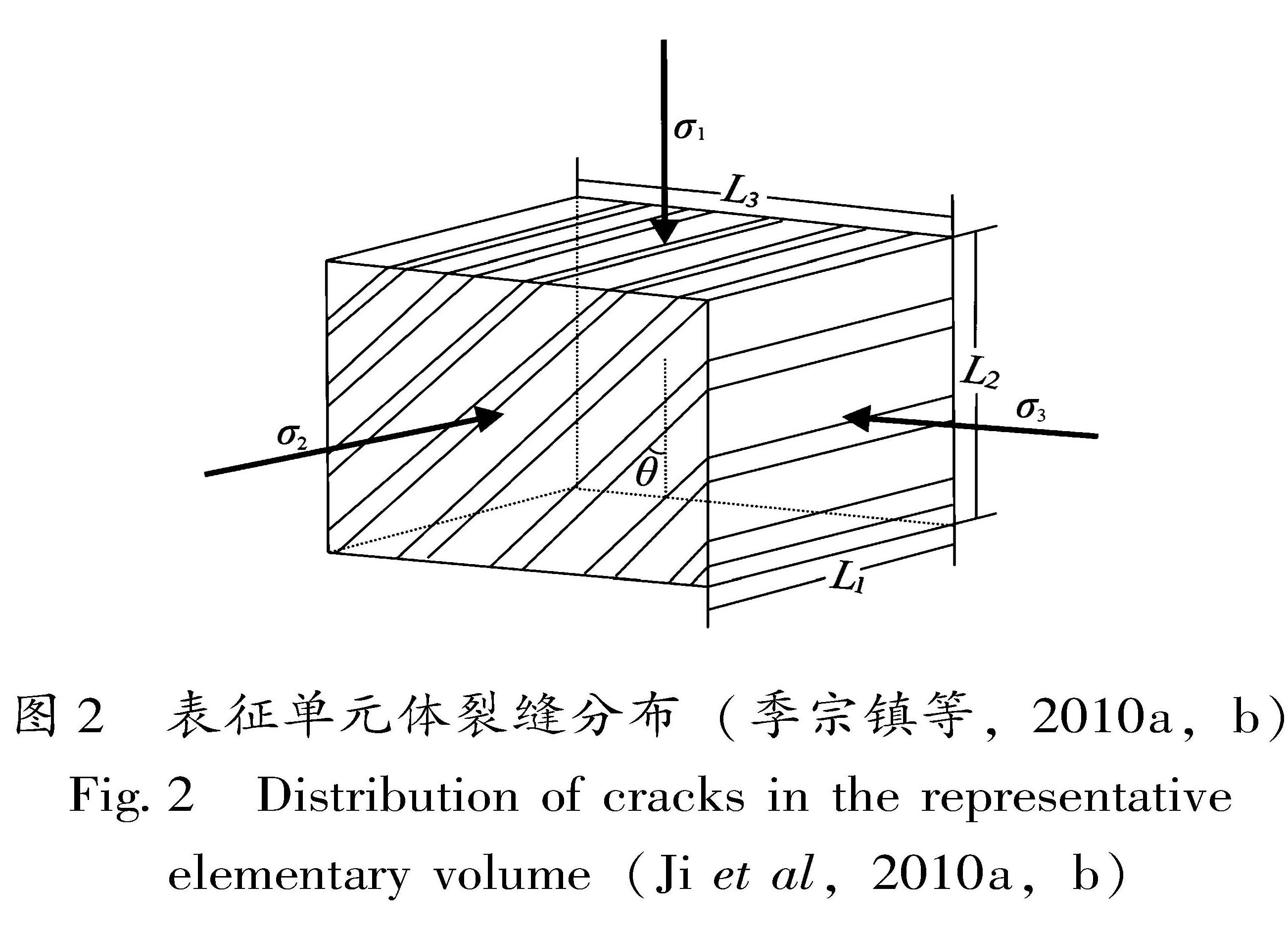 图2 表征单元体裂缝分布(季宗镇等,2010a,b)<br/>Fig.2 Distribution of cracks in the representative elementary volume(Ji et al,2010a,b)