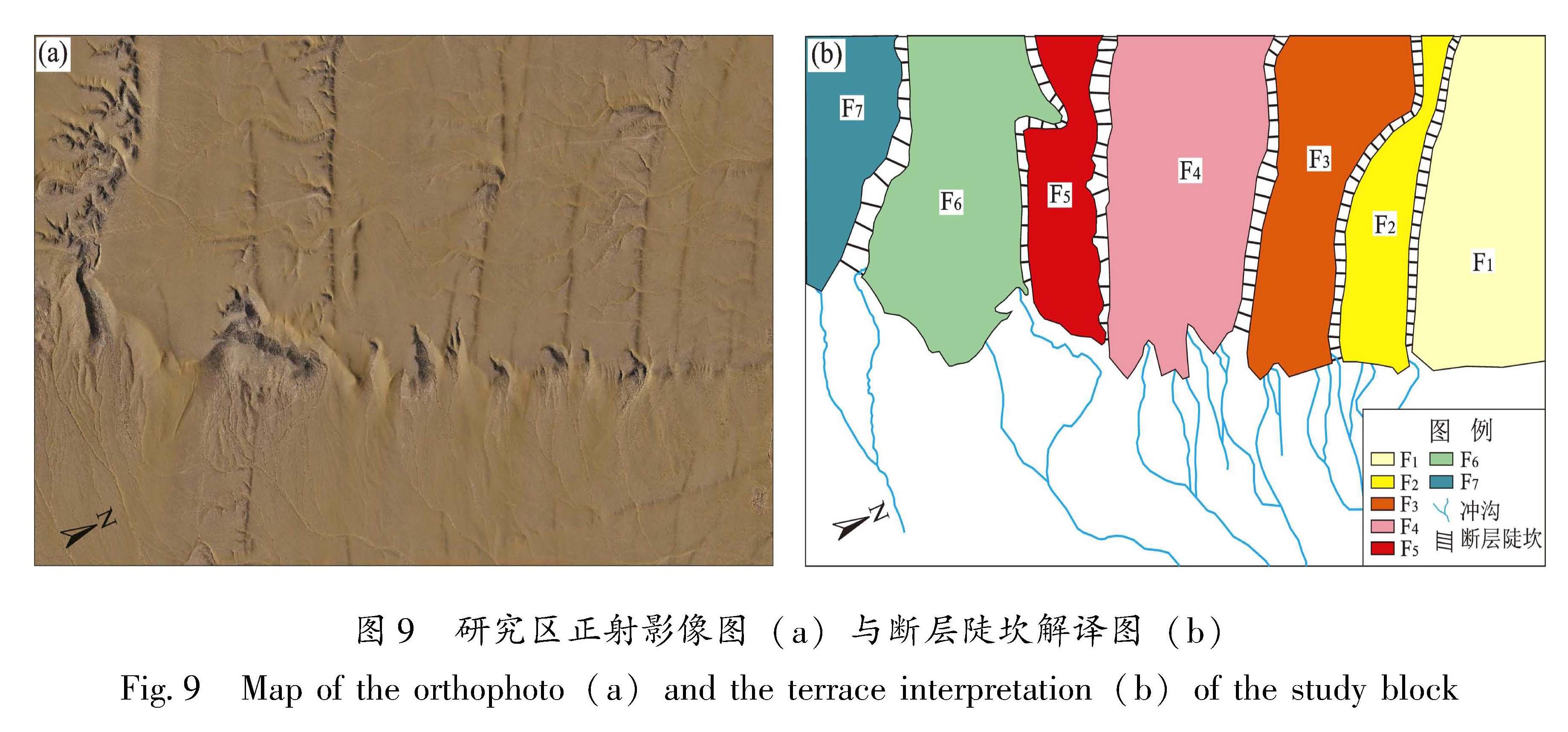 图9 研究区正射影像图(a)与断层陡坎解译图(b)<br/>Fig.9 Map of the orthophoto(a)and the terrace interpretation(b)of the study block
