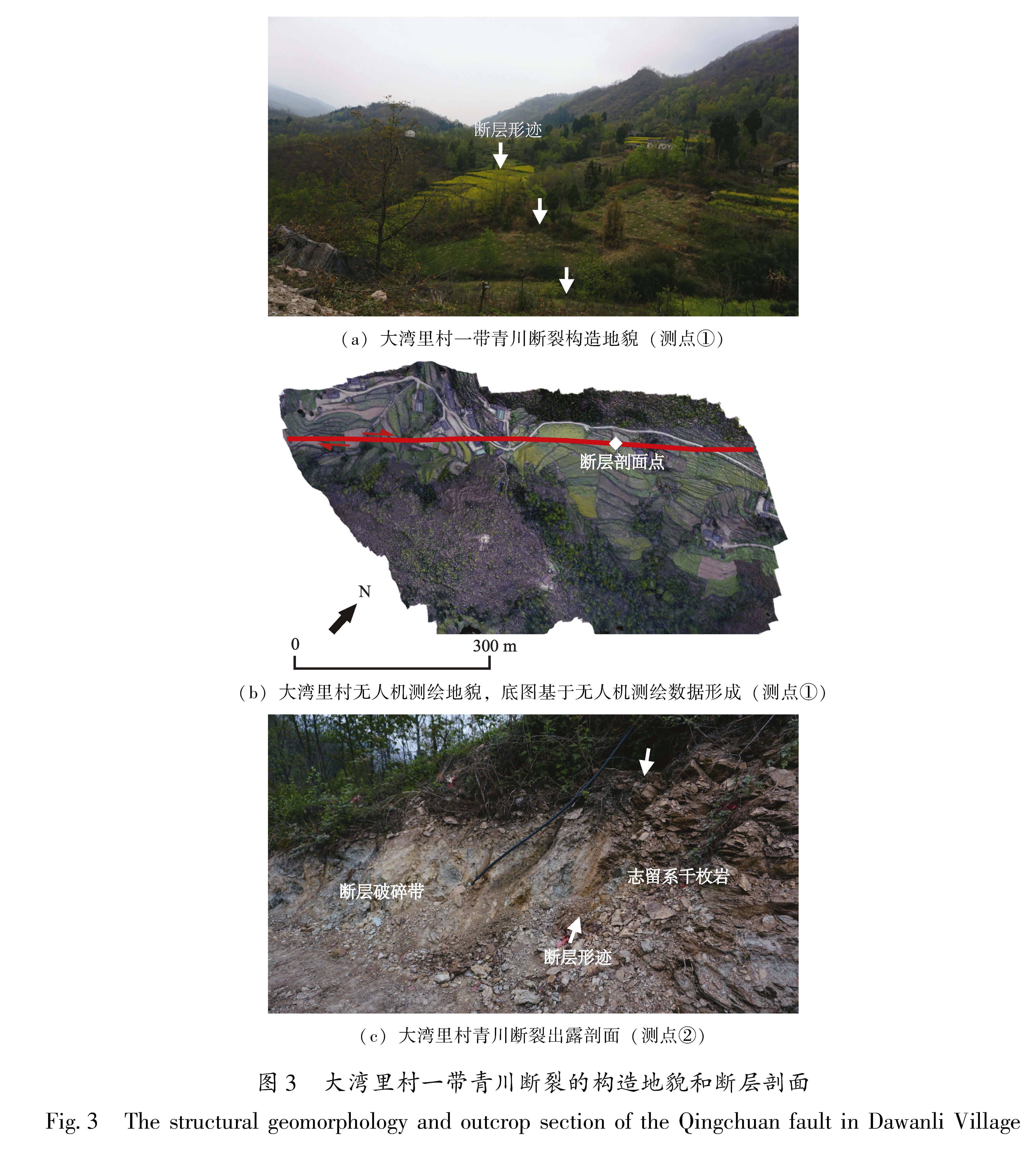 图3 大湾里村一带青川断裂的构造地貌和断层剖面<br/>Fig.3 The structural geomorphology and outcrop section of the Qingchuan fault in Dawanli Village