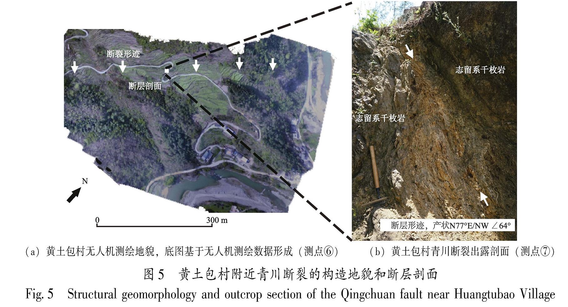 图5 黄土包村附近青川断裂的构造地貌和断层剖面<br/>Fig.5 Structural geomorphology and outcrop section of the Qingchuan fault near Huangtubao Village